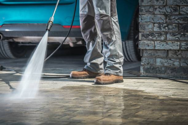 Best Boat and Dock Cleaning  in Palm Harbor, FL