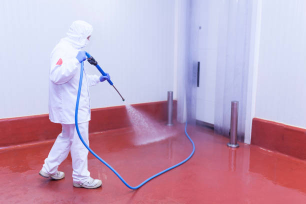 Best Rust Removal  in Palm Harbor, FL