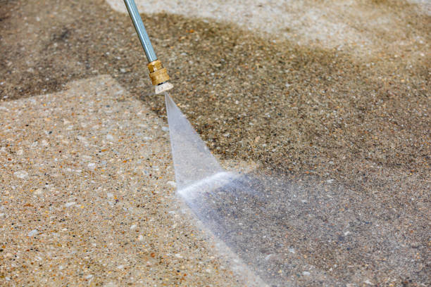 Best Parking Lot and Garage Cleaning  in Palm Harbor, FL