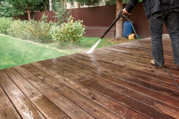 Best Driveway Pressure Washing  in Palm Harbor, FL