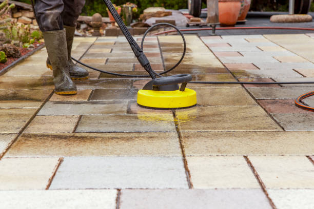 Best Soft Washing  in Palm Harbor, FL