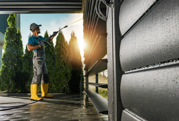 Best Graffiti Removal  in Palm Harbor, FL