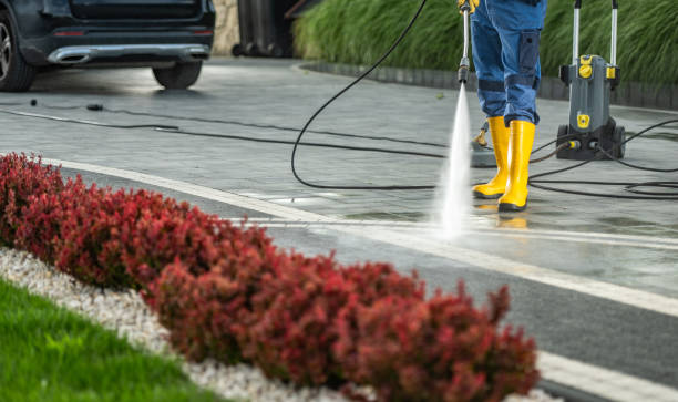 Best Sidewalk and Walkway Cleaning  in Palm Harbor, FL