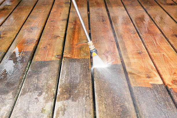 Reliable Palm Harbor, FL Pressure Washing Services Solutions