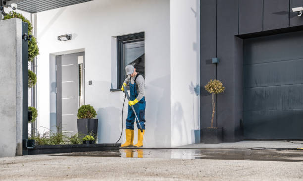  Palm Harbor, FL Pressure Washing Pros